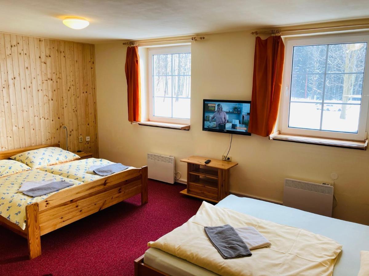 Studia Pod Lysou Daire Rokytnice nad Jizerou Dış mekan fotoğraf