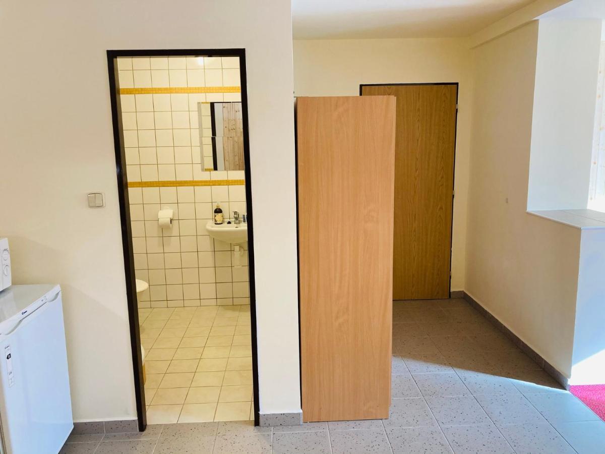 Studia Pod Lysou Daire Rokytnice nad Jizerou Dış mekan fotoğraf