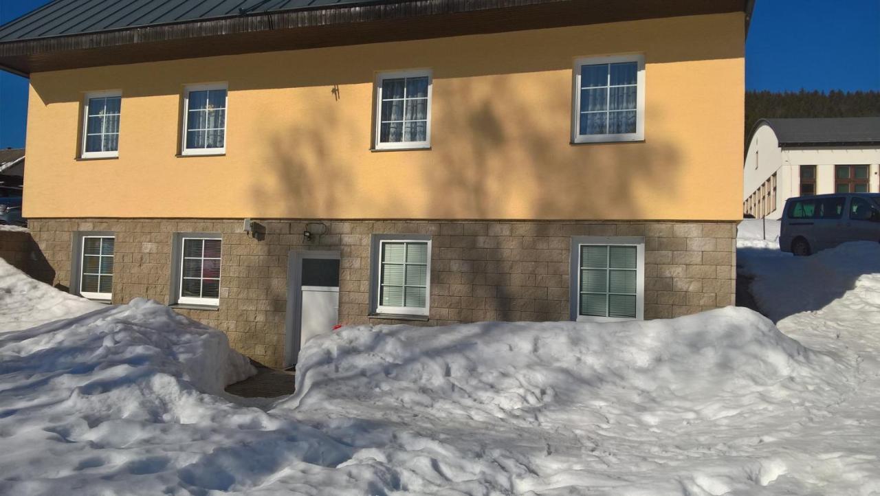 Studia Pod Lysou Daire Rokytnice nad Jizerou Dış mekan fotoğraf