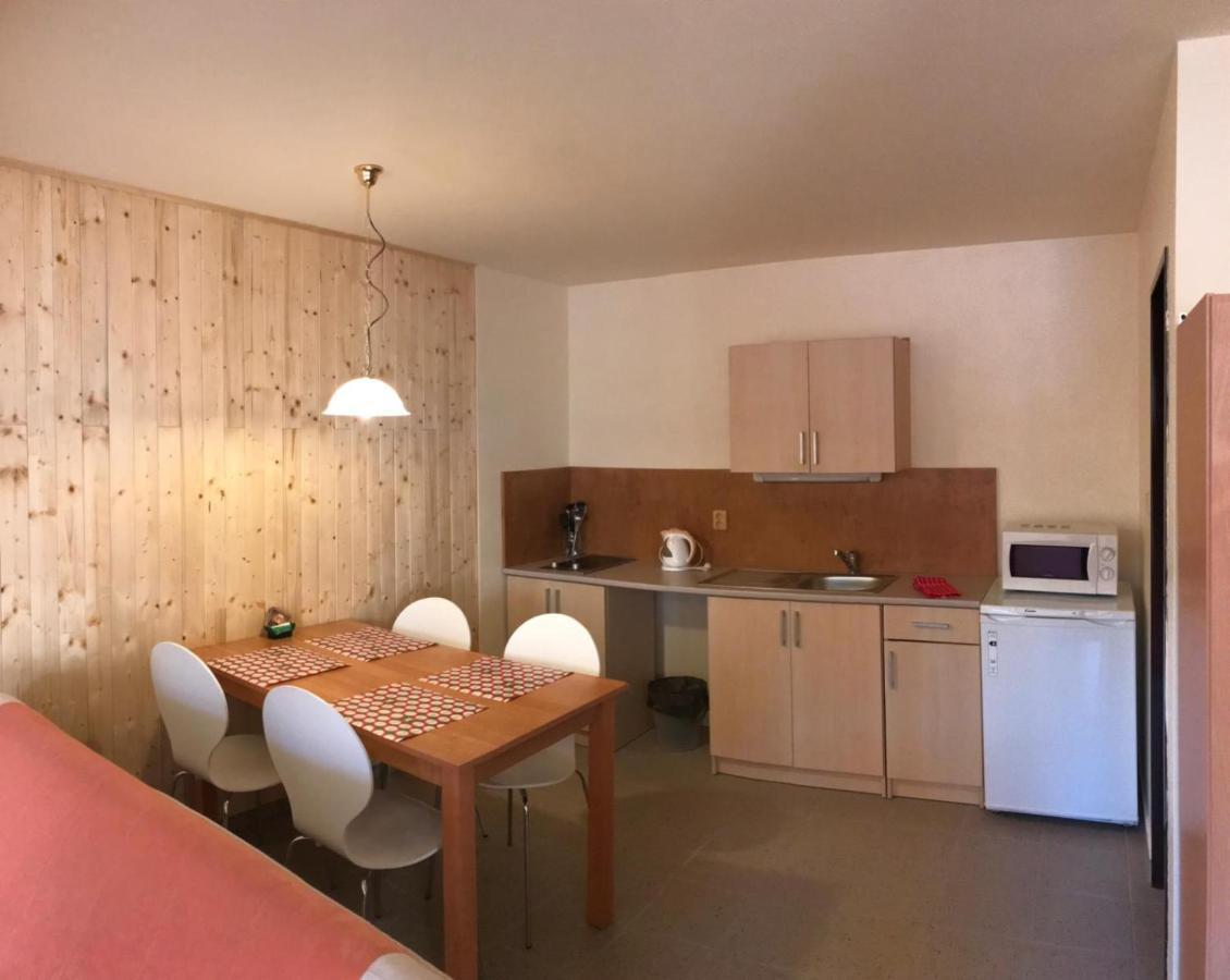 Studia Pod Lysou Daire Rokytnice nad Jizerou Dış mekan fotoğraf