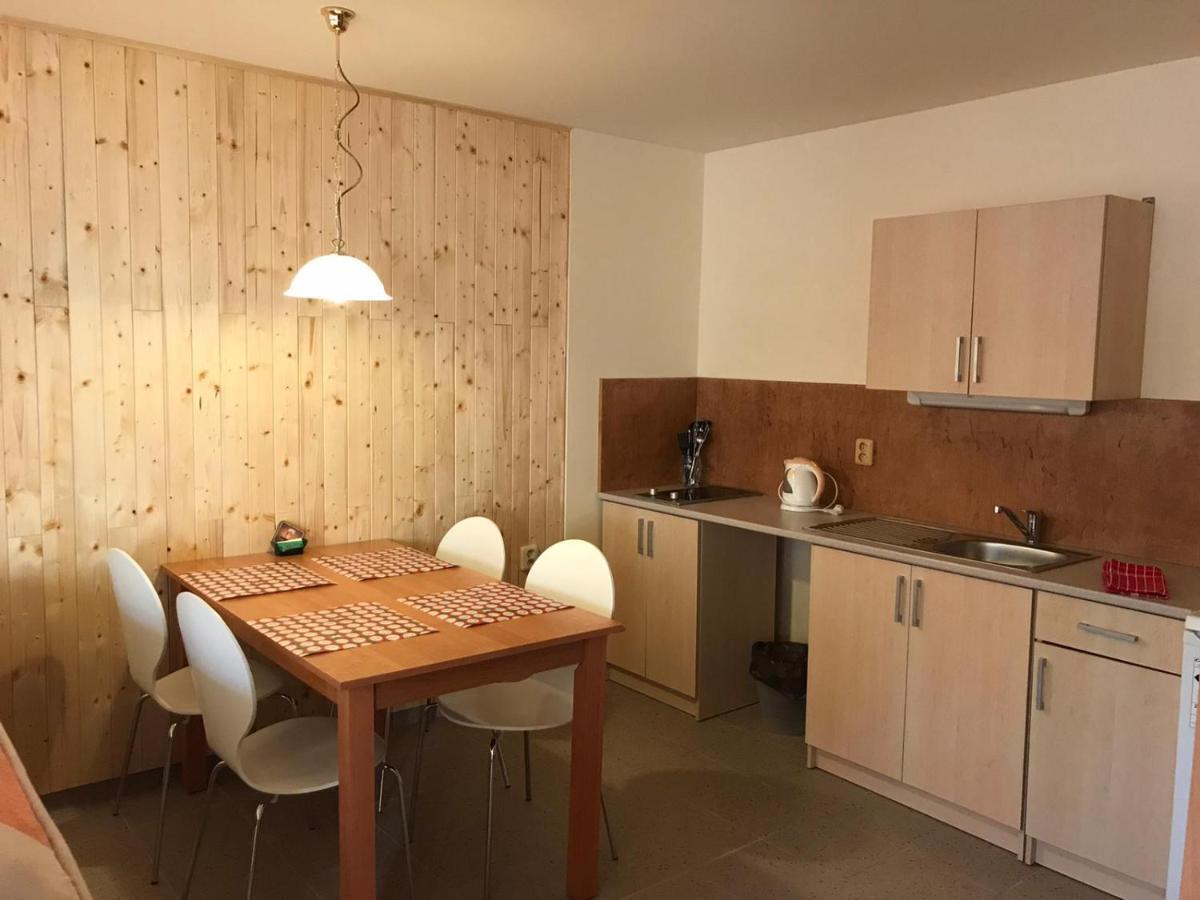 Studia Pod Lysou Daire Rokytnice nad Jizerou Dış mekan fotoğraf