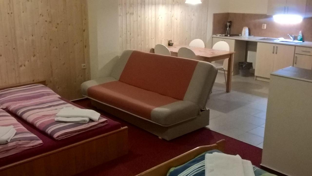 Studia Pod Lysou Daire Rokytnice nad Jizerou Dış mekan fotoğraf