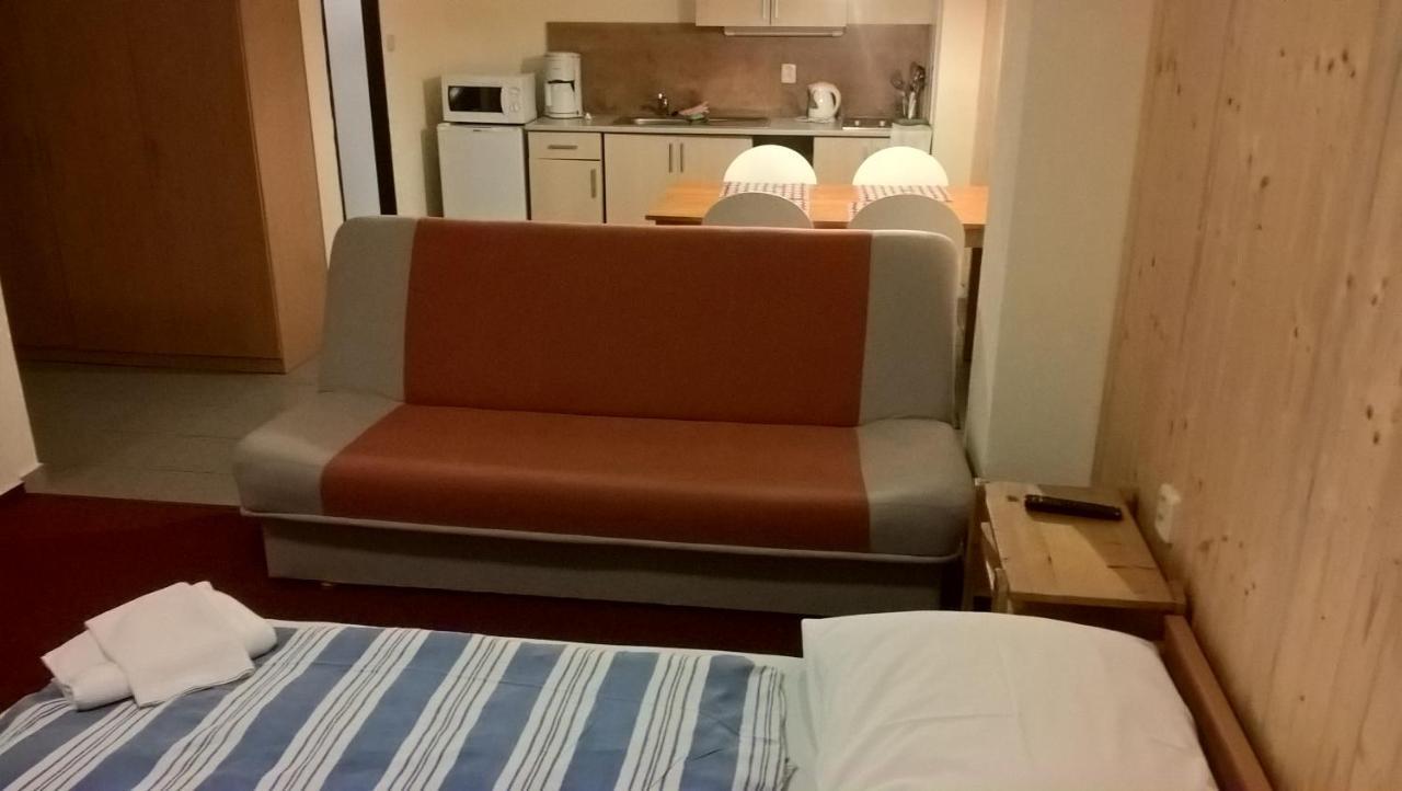 Studia Pod Lysou Daire Rokytnice nad Jizerou Dış mekan fotoğraf