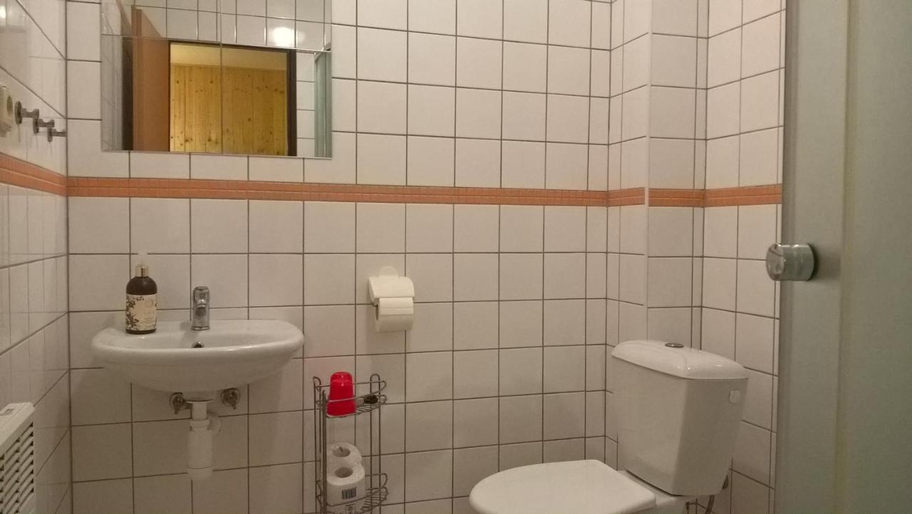 Studia Pod Lysou Daire Rokytnice nad Jizerou Dış mekan fotoğraf