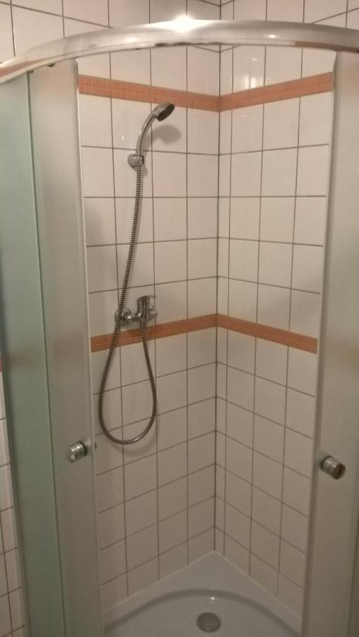 Studia Pod Lysou Daire Rokytnice nad Jizerou Dış mekan fotoğraf